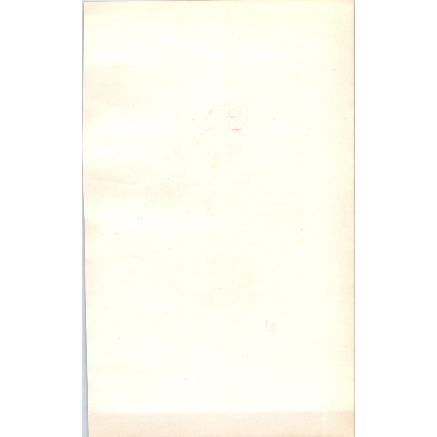 Robin Bird 1903 Original Color Engraving Plate Print AD8-B3