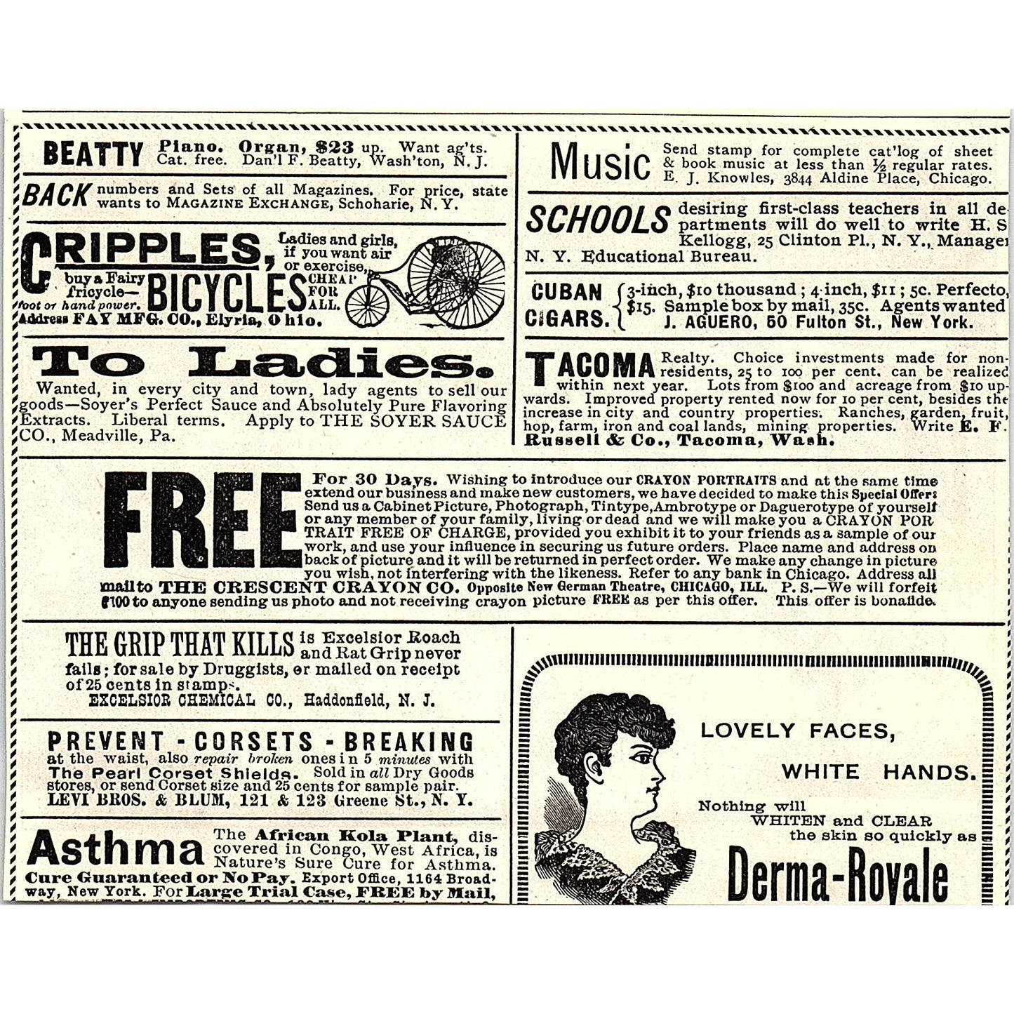 A Merry-Go-Round in South Africa Illustration 1892 Art Print AG2-9