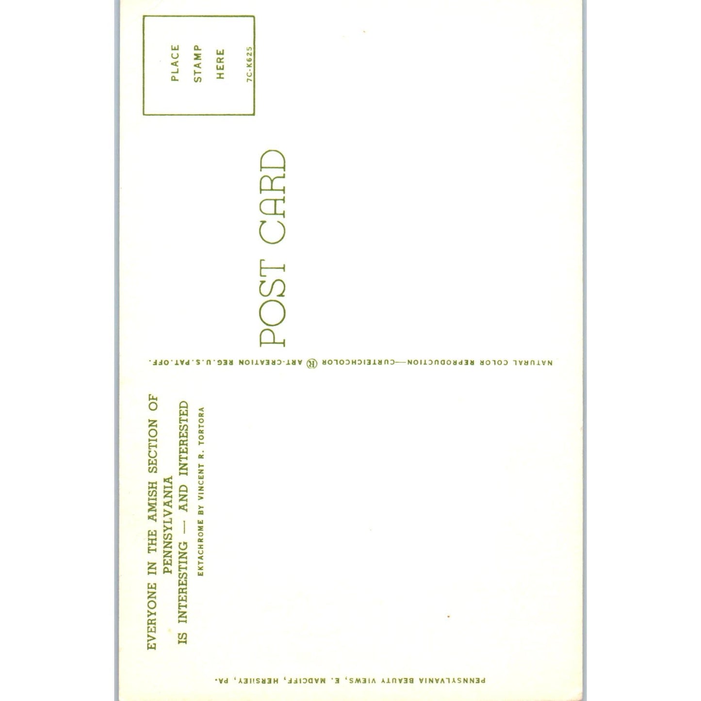 Little Amish Boy and Girl With Parents Pennsylvania Dutch Country Postcard PD7