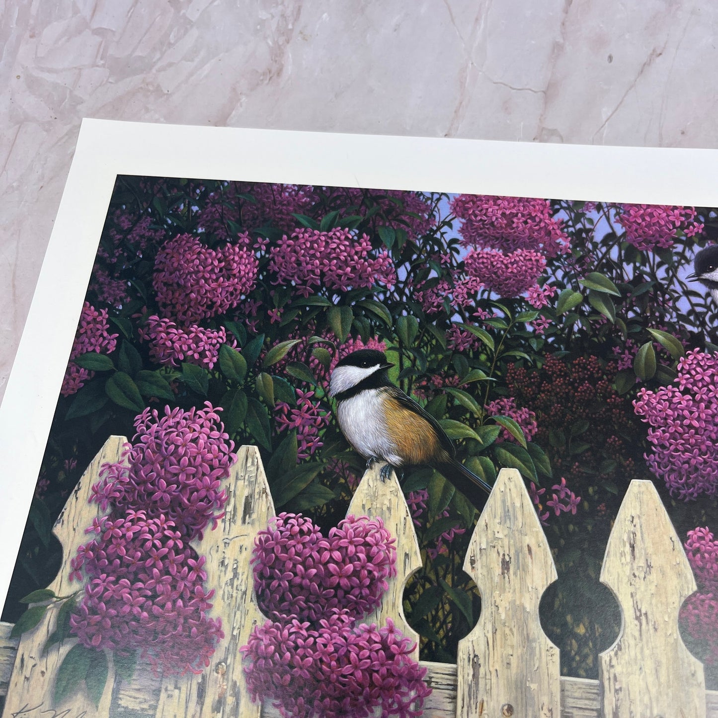 Love Song Kim Nolan Chickadee Bird Art Print 2001 11x13.5" FL6-11