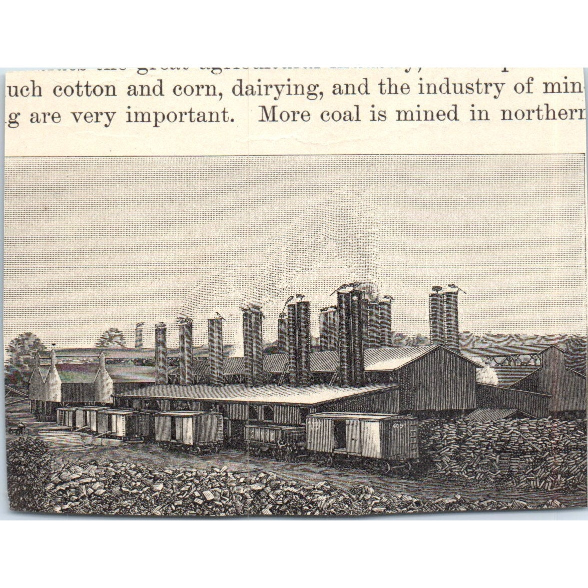 Cutting Sugar Cane in Louisiana 1901 Engraving AF2-O3