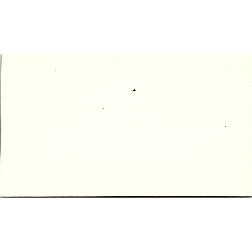 Castles for Brides Westminster CA Vintage Business Card SE5-B5