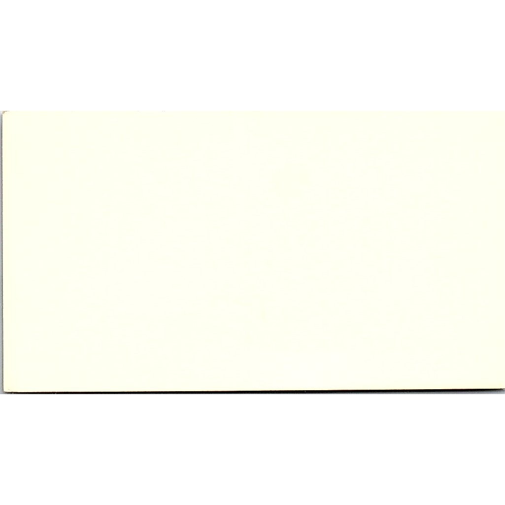 Rose Sliffe Artist Anaheim CA Vintage Business Card SE3-B11