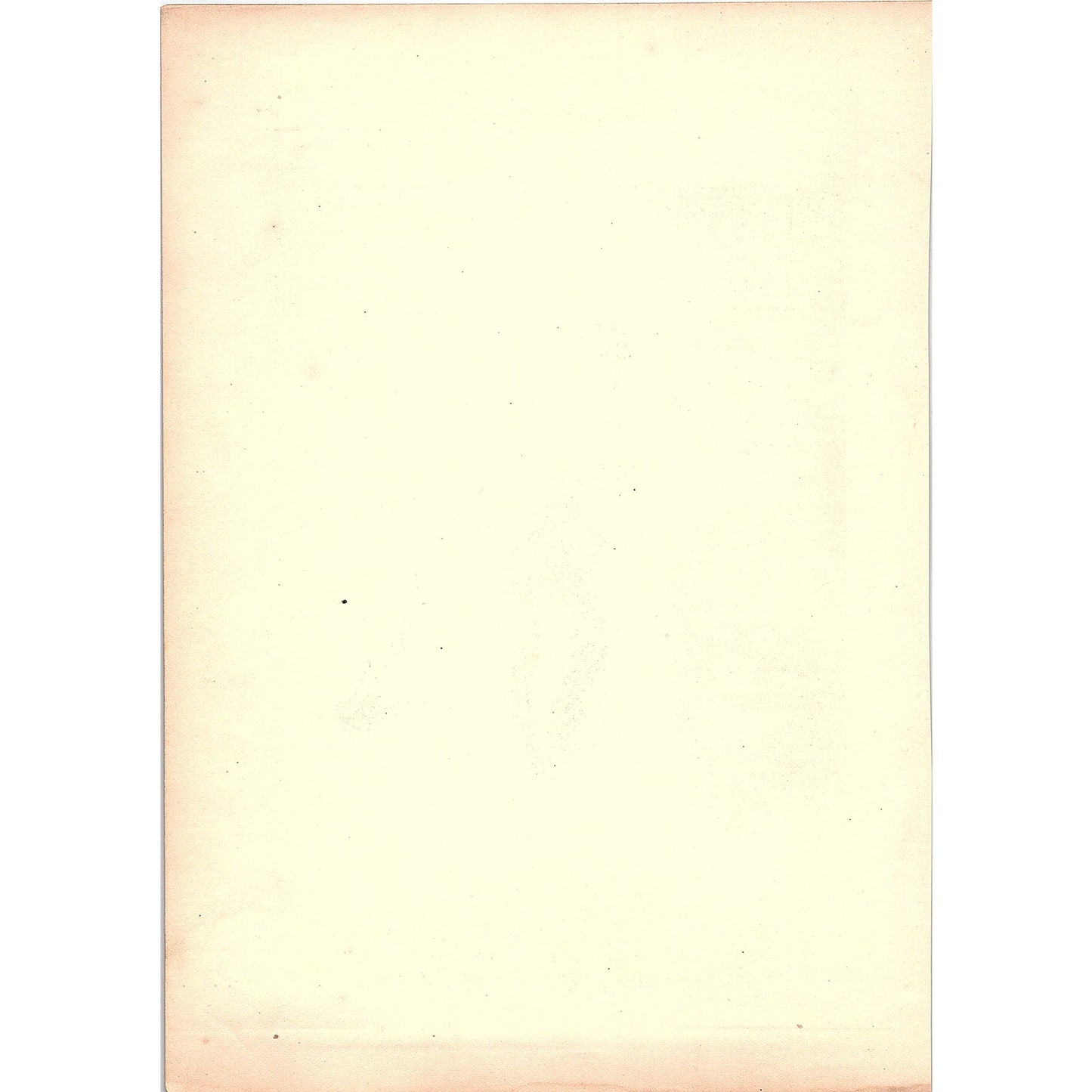 Roger and I - The Vagabonds, J.T Trowbridge 1884 Engraving TA5-CJ-1