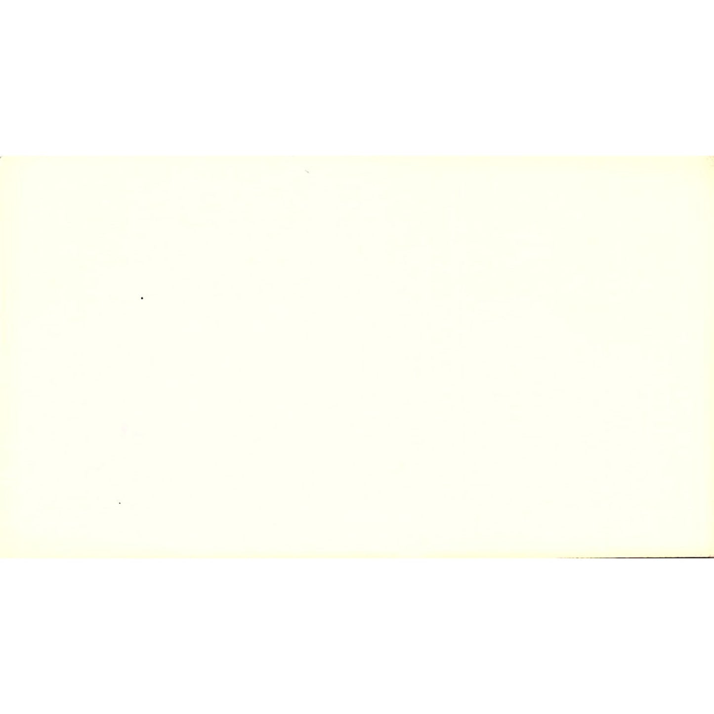 Let the Expert Do It Professional Cleaning Long Beach CA Business Card SF3-B9