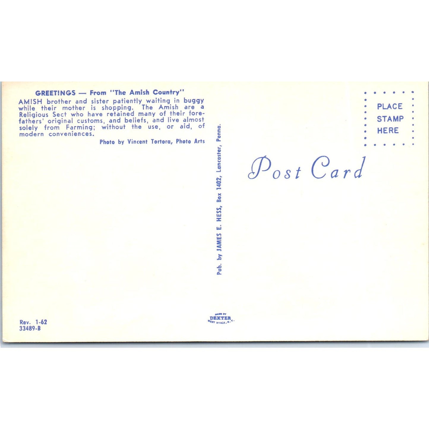 Amish Children Wait in Buggy Pennsylvania Dutch Country Vintage Postcard PD5