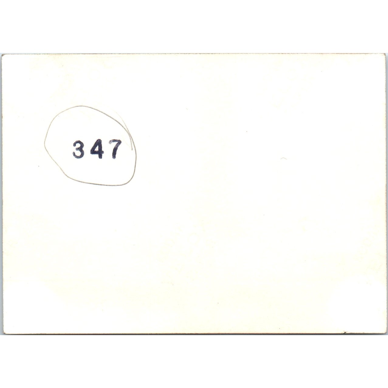 US Army Soldier Stickup Humor Photo c1954 Army Photo AF1-AP2