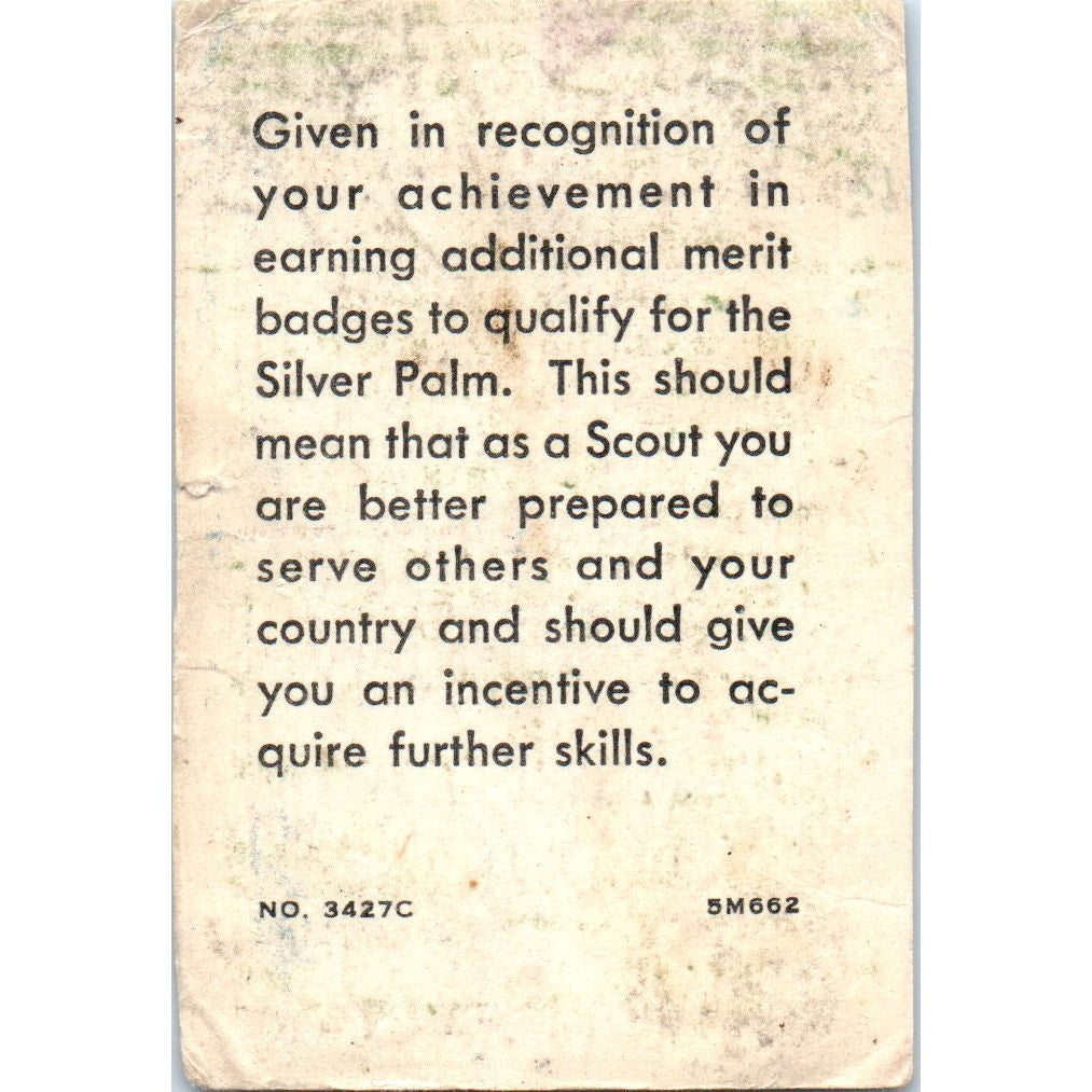 1964 Eagle Scout With Silver Palm Card Wayne Johnson Los Angeles CA AD8-RS1