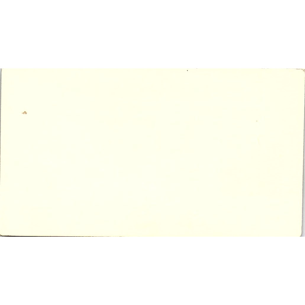 AI Branch Georgia Paramount Vintage Business Card SB4-B10