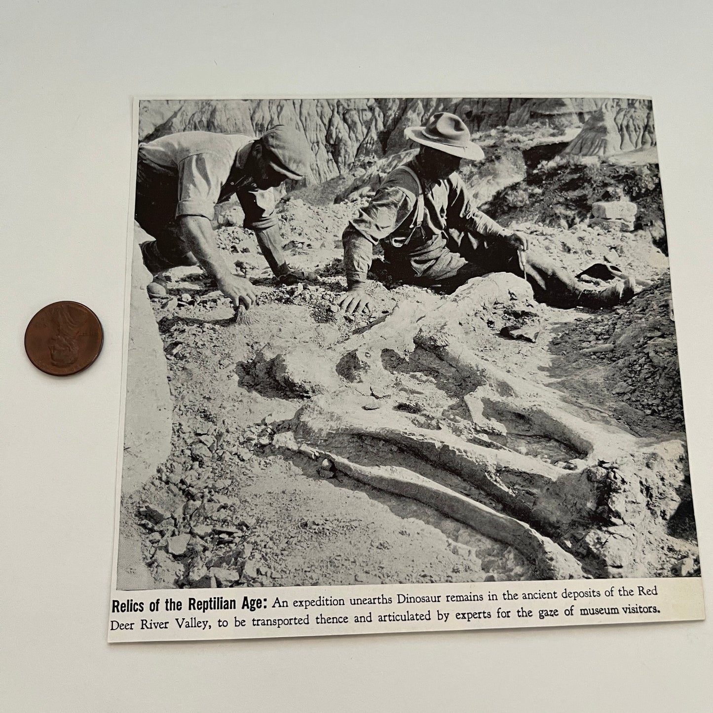Relics of the Reptilian Age Dinosaur Red Deer AB 1941 Magazine Picture SAG4-H1