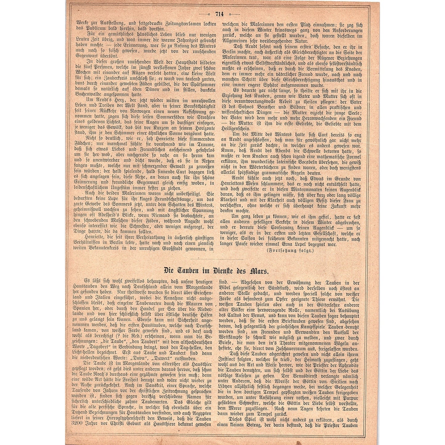 Ideal Head - Prof. Paul Thumann 1892 Engraving V1-3