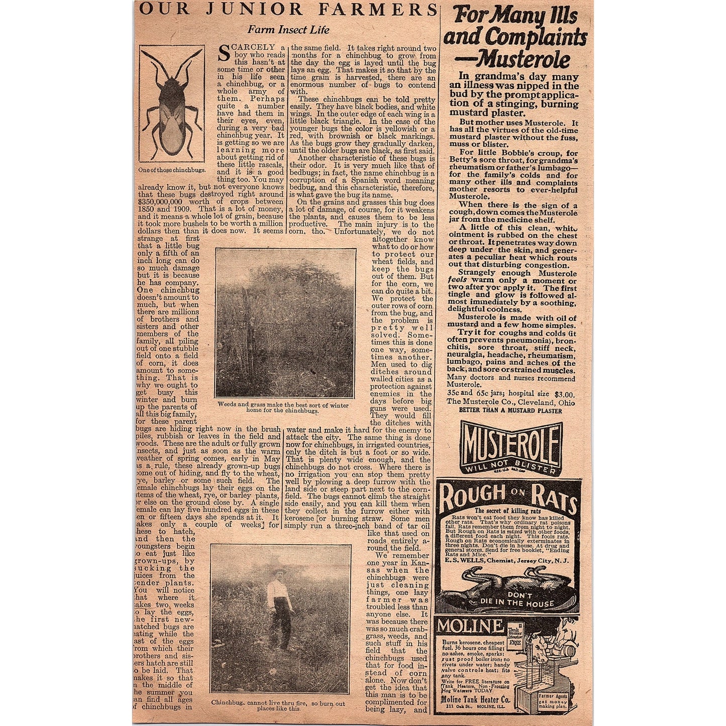 X Laboratories - X Boiler Liquid for Dirty Boilers New York 1920 Ad AG2-6