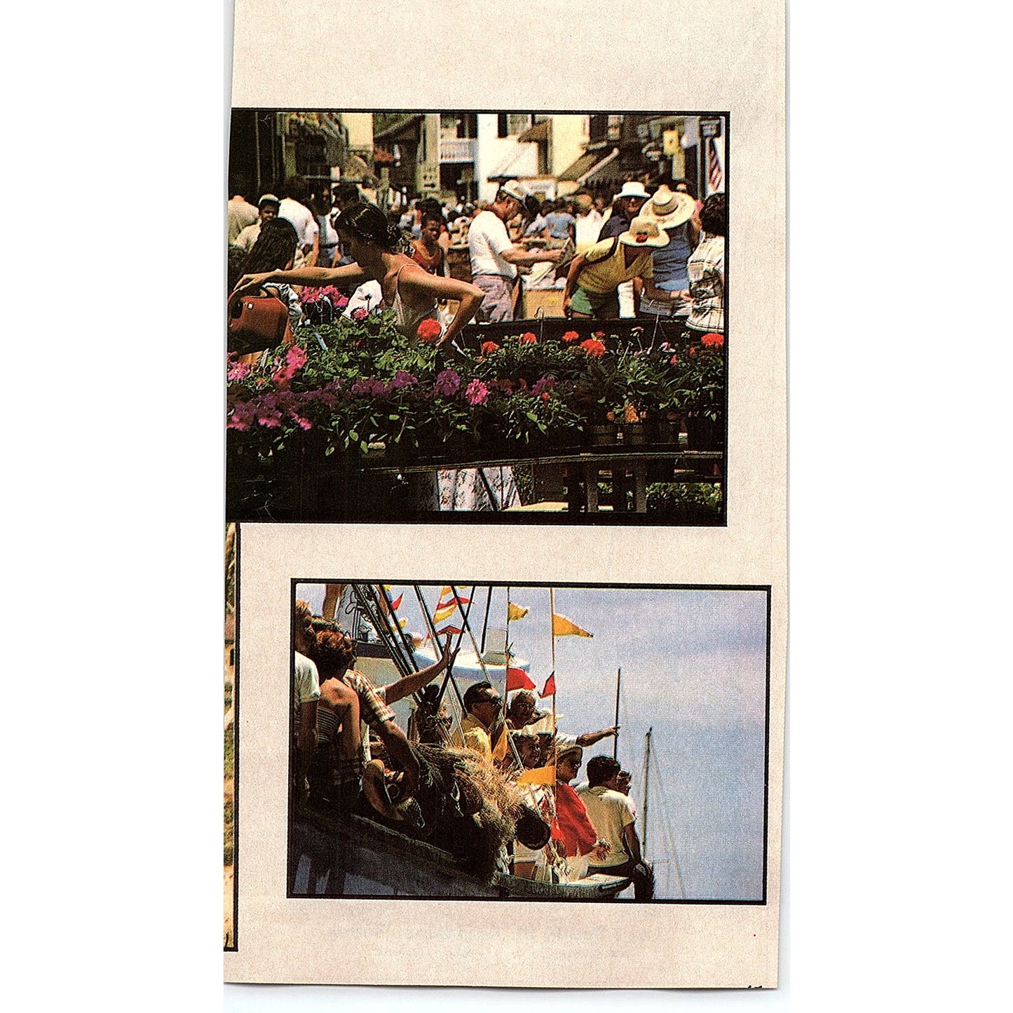 JCPenney Belk Hudson Ponce De Leon Mall St. Augustine FL 1989 Ad AF9-13