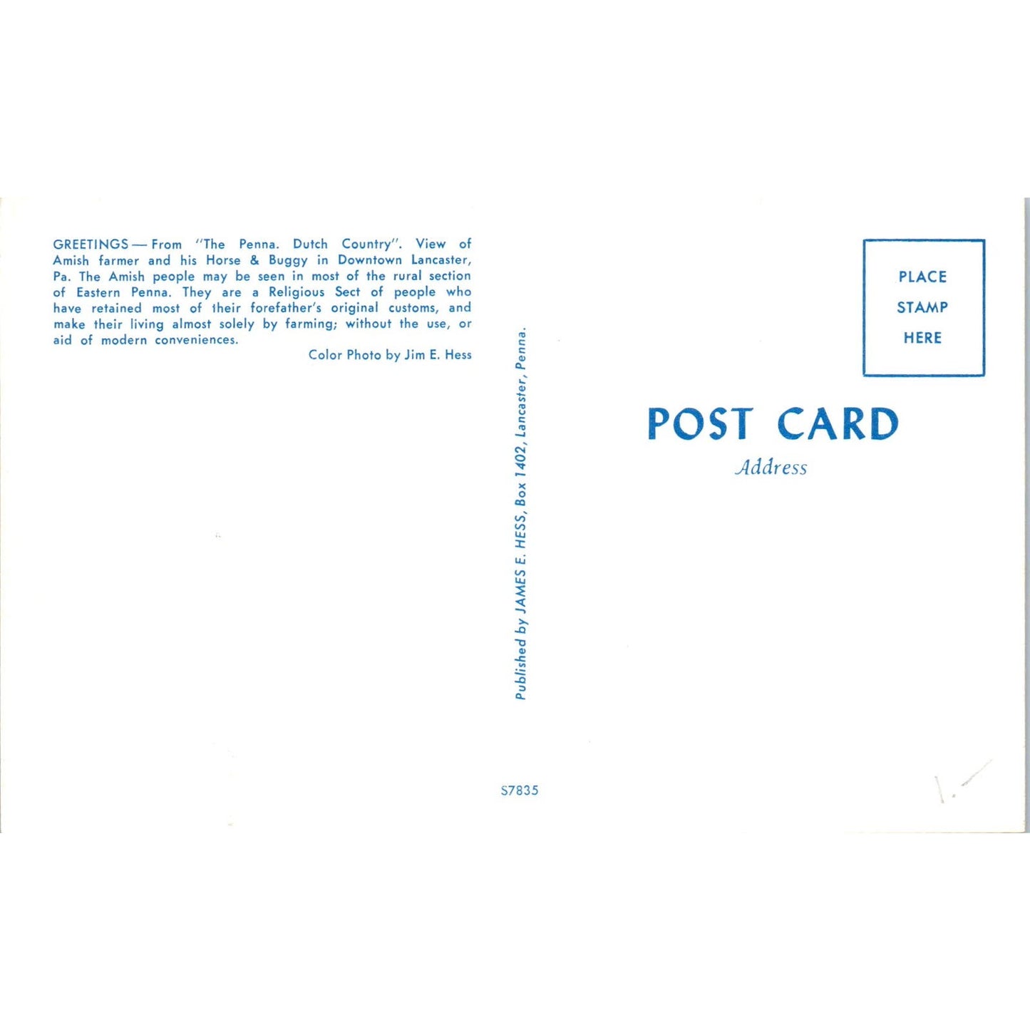 Amish Farmer Buggy in Lancaster Pennsylvania Dutch Country Vintage Postcard PD5