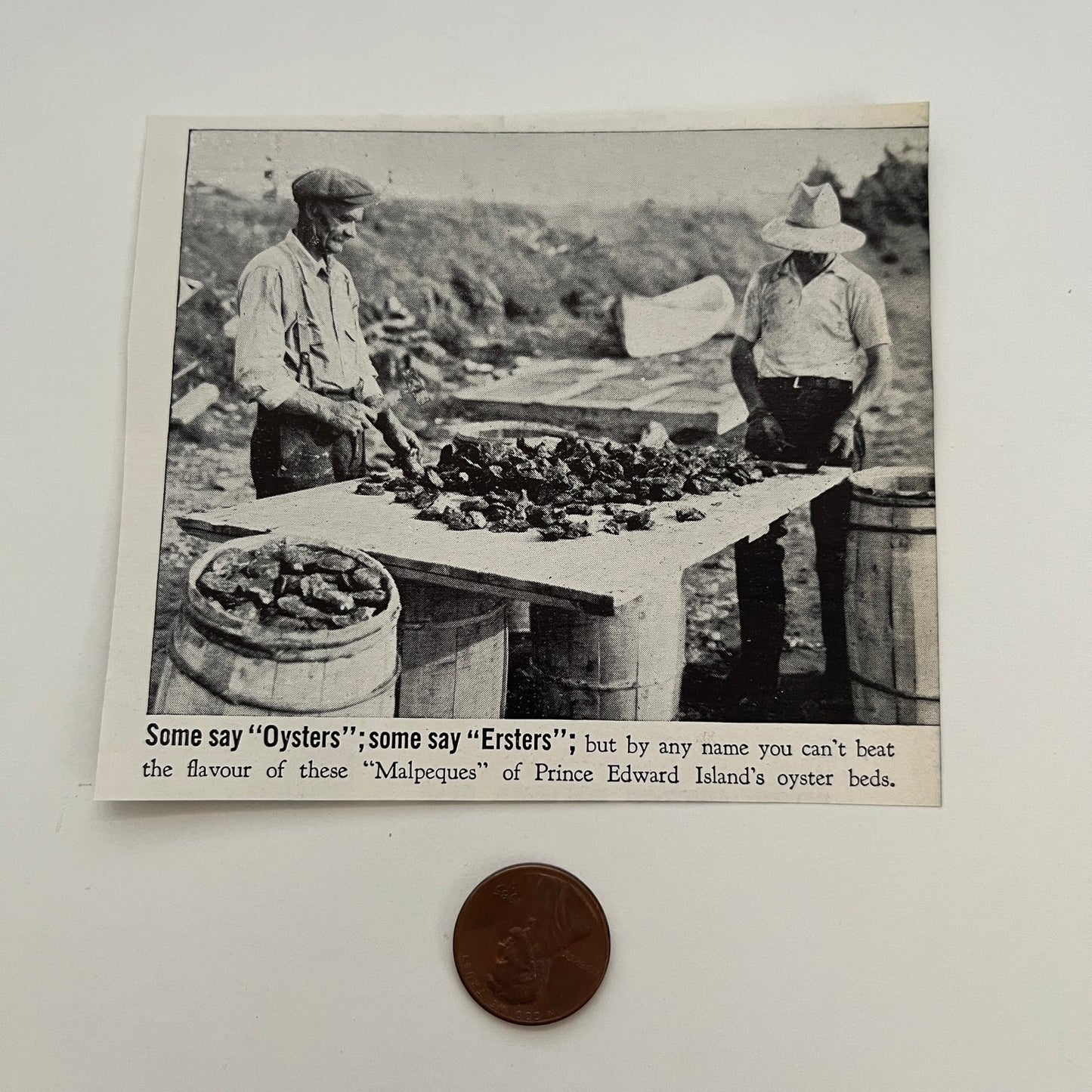 Some Say Oysters Some Say Ersters Malpeque PE 1941 Magazine Picture SAG4-H2