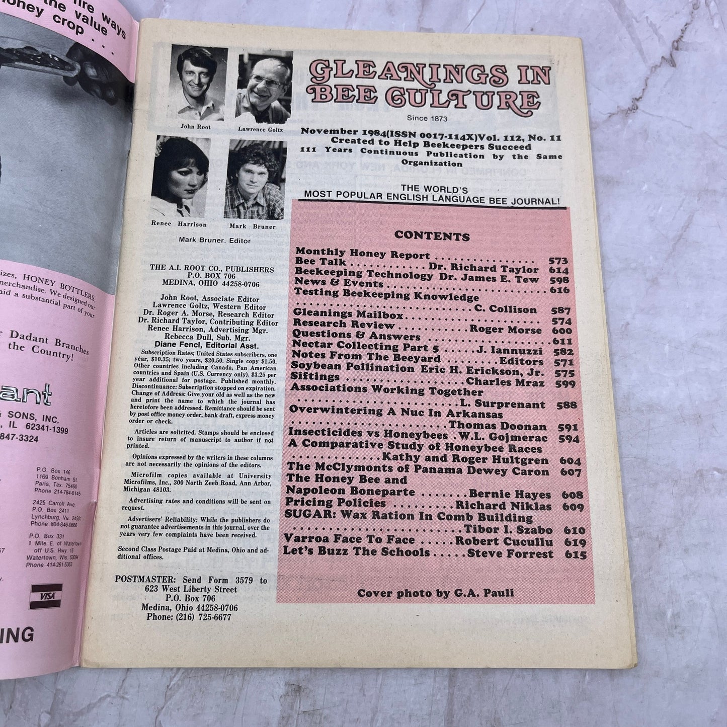 1984 Nov - Gleanings in Bee Culture Magazine - Bees Beekeeping Honey M33