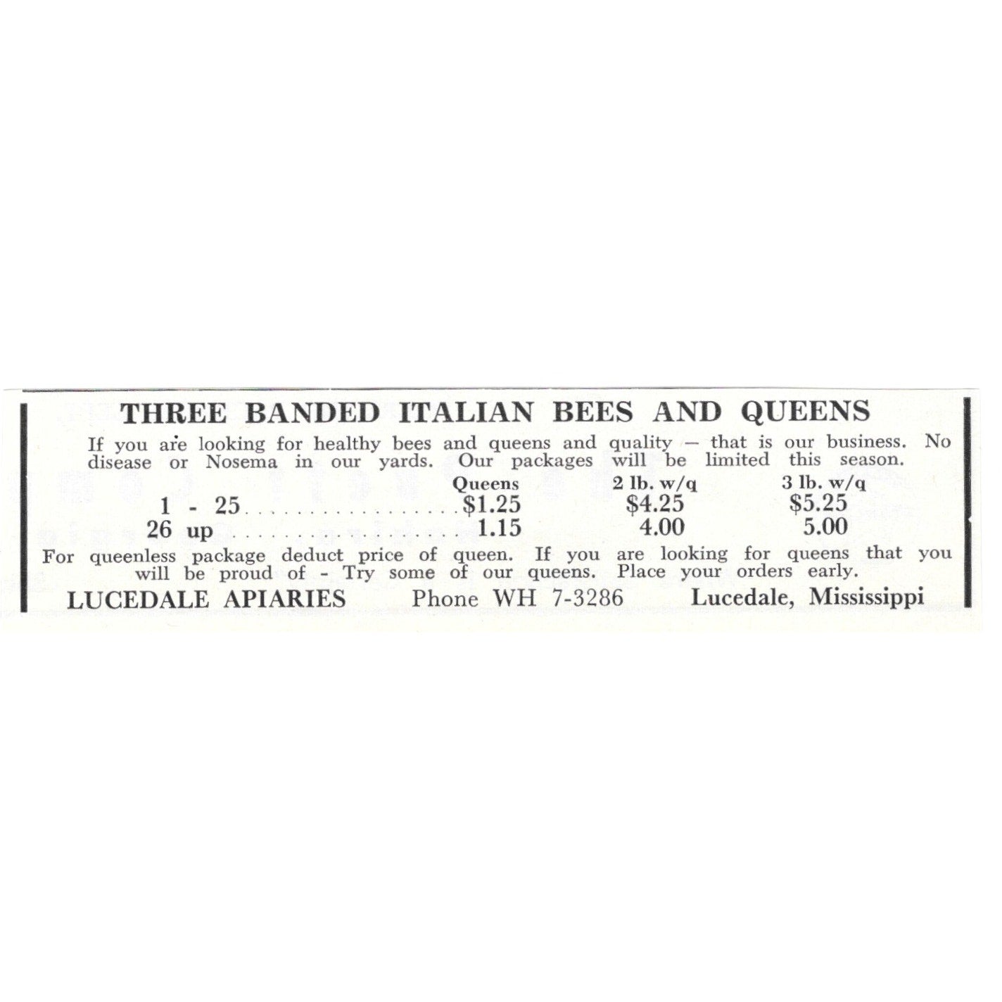 Italian Bees & Queens Lucedale Apiaries Lucedale MS 1961 Magazine Ad AB6-LB