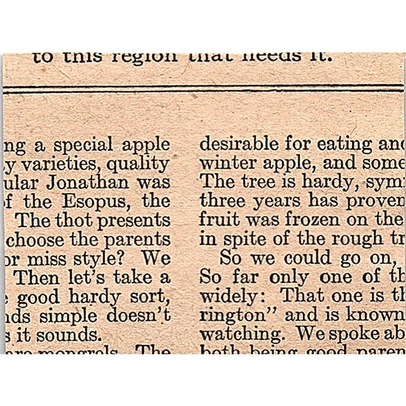 Good Pay for Boys & Girls Successful Farming Des Moines Iowa 1920 Ad AG2-M6