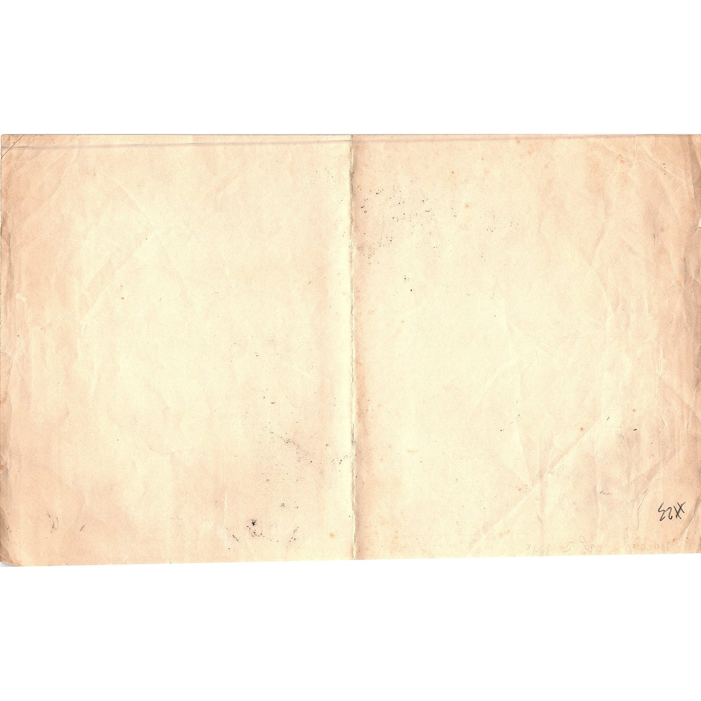 1940s Original Sketch of a Young Lady With Comb Winifred Schutsky D26-23