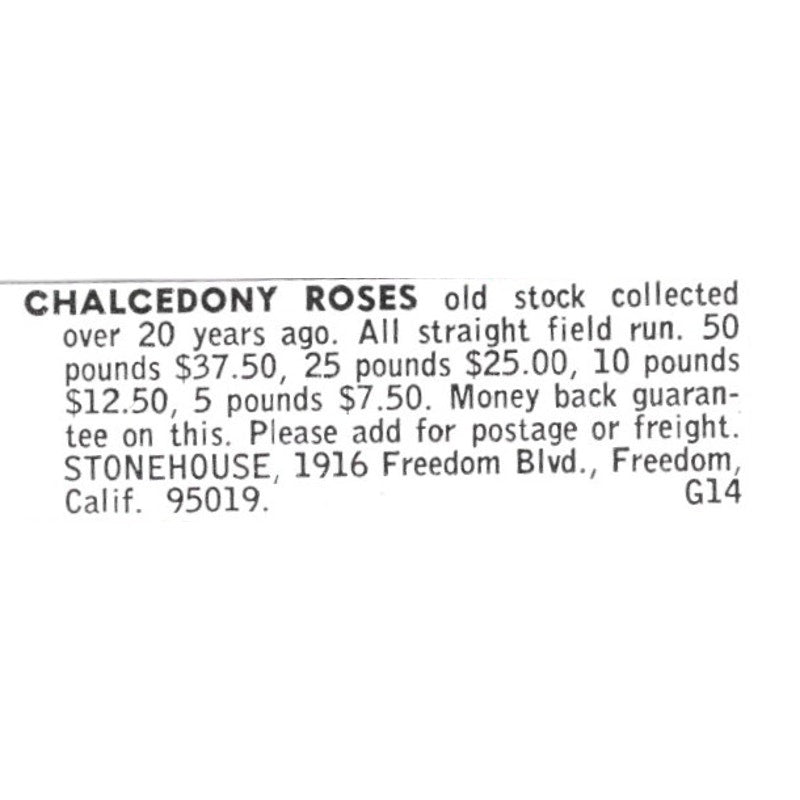 Stonehouse Chalcedony Roses Freedom California 1972 Ad AF8-S19