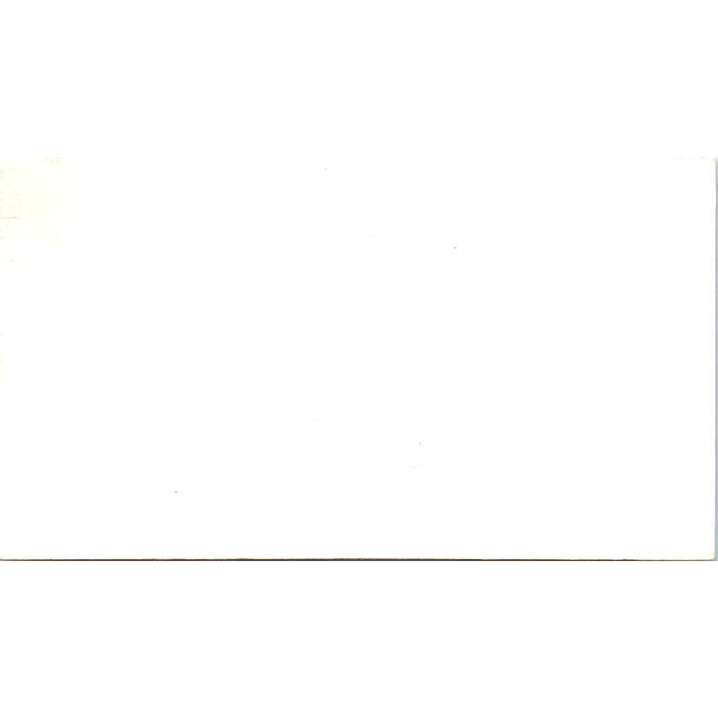 Lockwood Inn No 1 Catering Co Mary Pamela Semien Houston TX Business Card SD8-B8