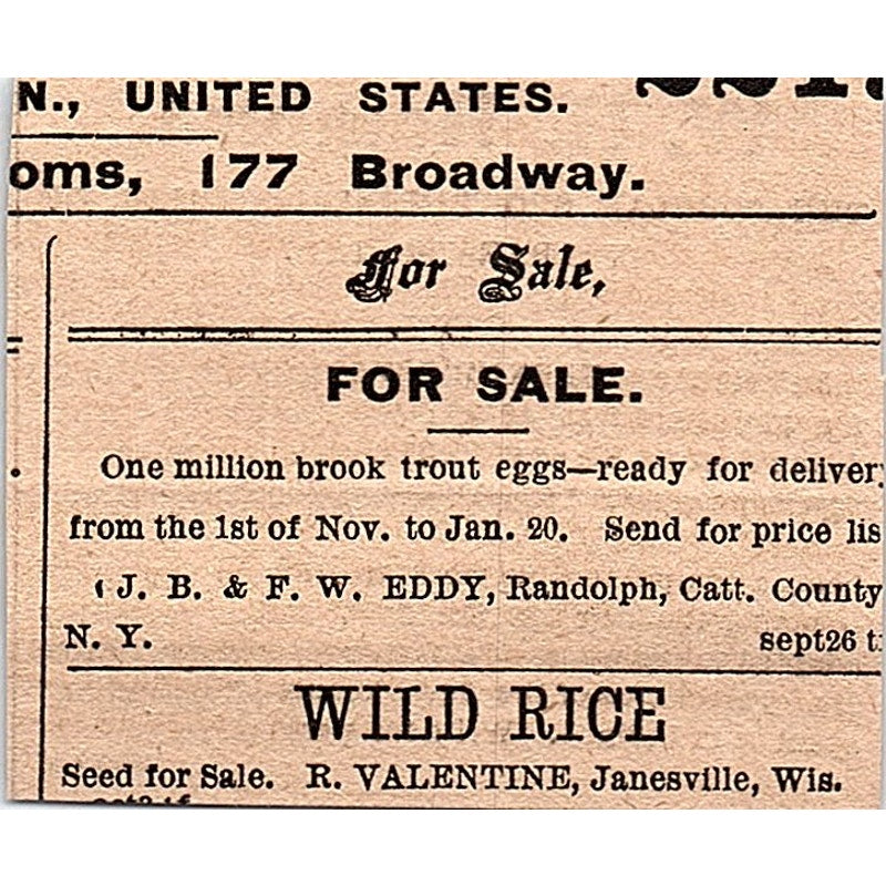 W.H. Holabird Popular Sportsmen's Clothier of Valparaiso Indiana 1878 Ad AG2-M14