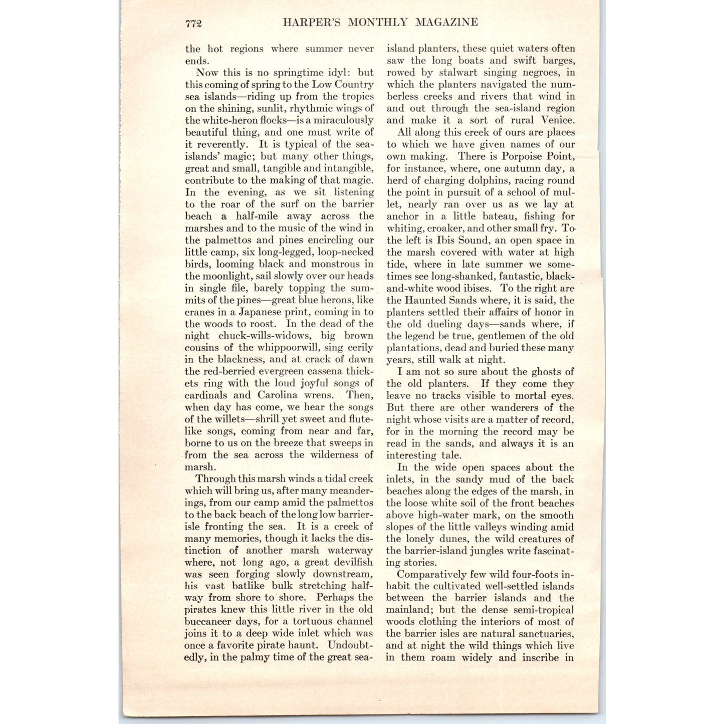 Sea-Island Magic Herons Herbert Ravenel Sass 5 Page 1924 Magazine Article D23