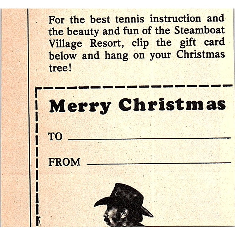 The Stap National Tennis Camp Deerfield IL 1977 Ad AF3-Q3