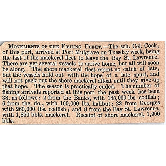 Movements of the Fishing Fleet - Col. Cook, Port Mulgrave 1878 Article AG2-S15