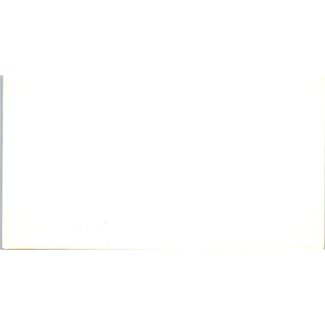 Roland Fournier Painting 1735 Madison Cedar Hill TX Vtg Business Card SD8-B14
