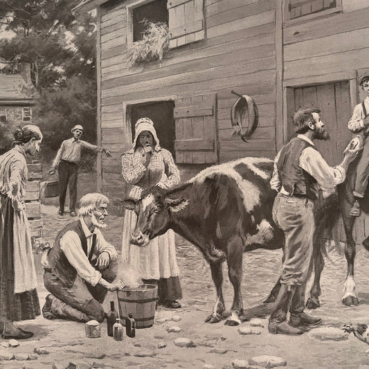 The Sick Cow - Farming Scene - Original 1904 A.B. Frost Art Print V26-4