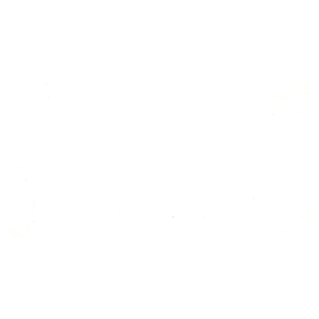 M.B. V.T. Beeson. Miniature Windmills Vintage Business Card SF3-B1