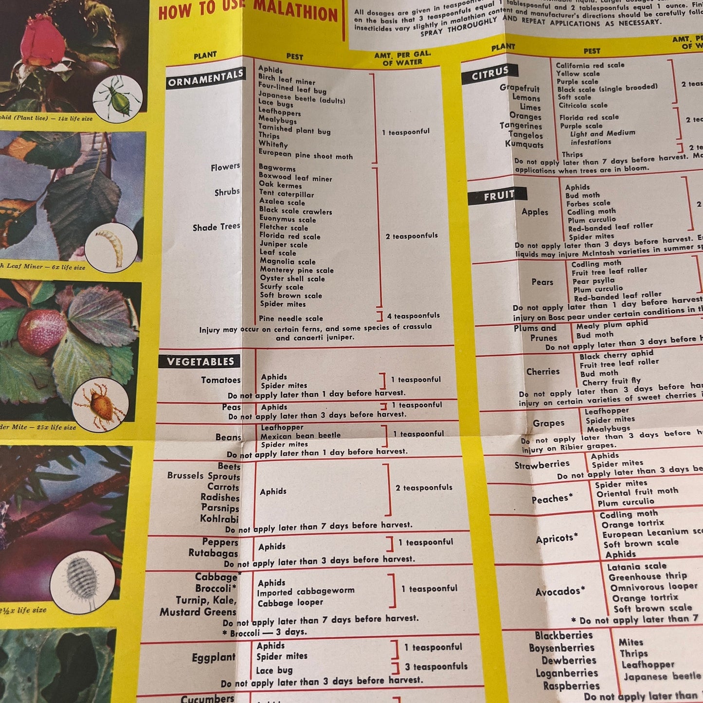 1959 Malathion - Protection For Your Garden Vintage Brochure AG5-H4