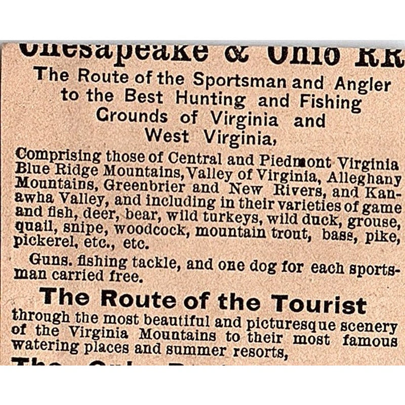 Clure Brothers & Co Propeller Tug & Yacht Engines Schenectady NY 1878 Ad AG2-M15
