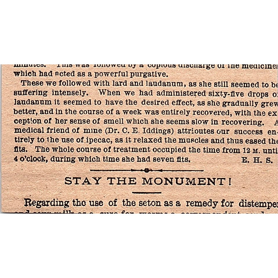 Dec 1878 Alexandra Palace Dog Show London England 1878 Article AG2-M8