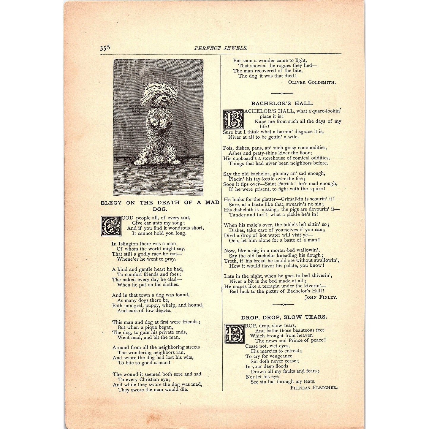 The Gambols of Children - George Darley,  Death of a Mad Dog 1884 Poem TA5-CJ-5