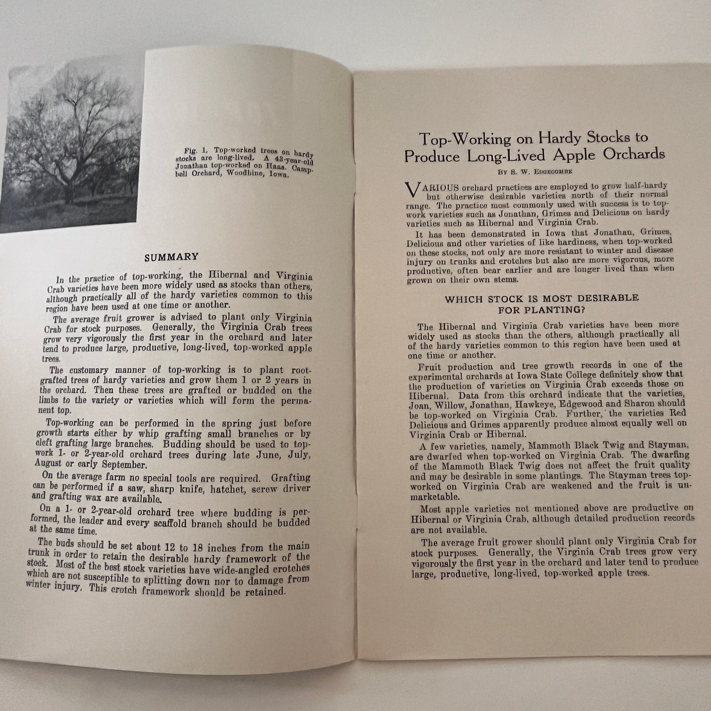 Top-Working on Hardy Apple Stocks 1941 Ames IA Farm Bulletin TK2-XB5