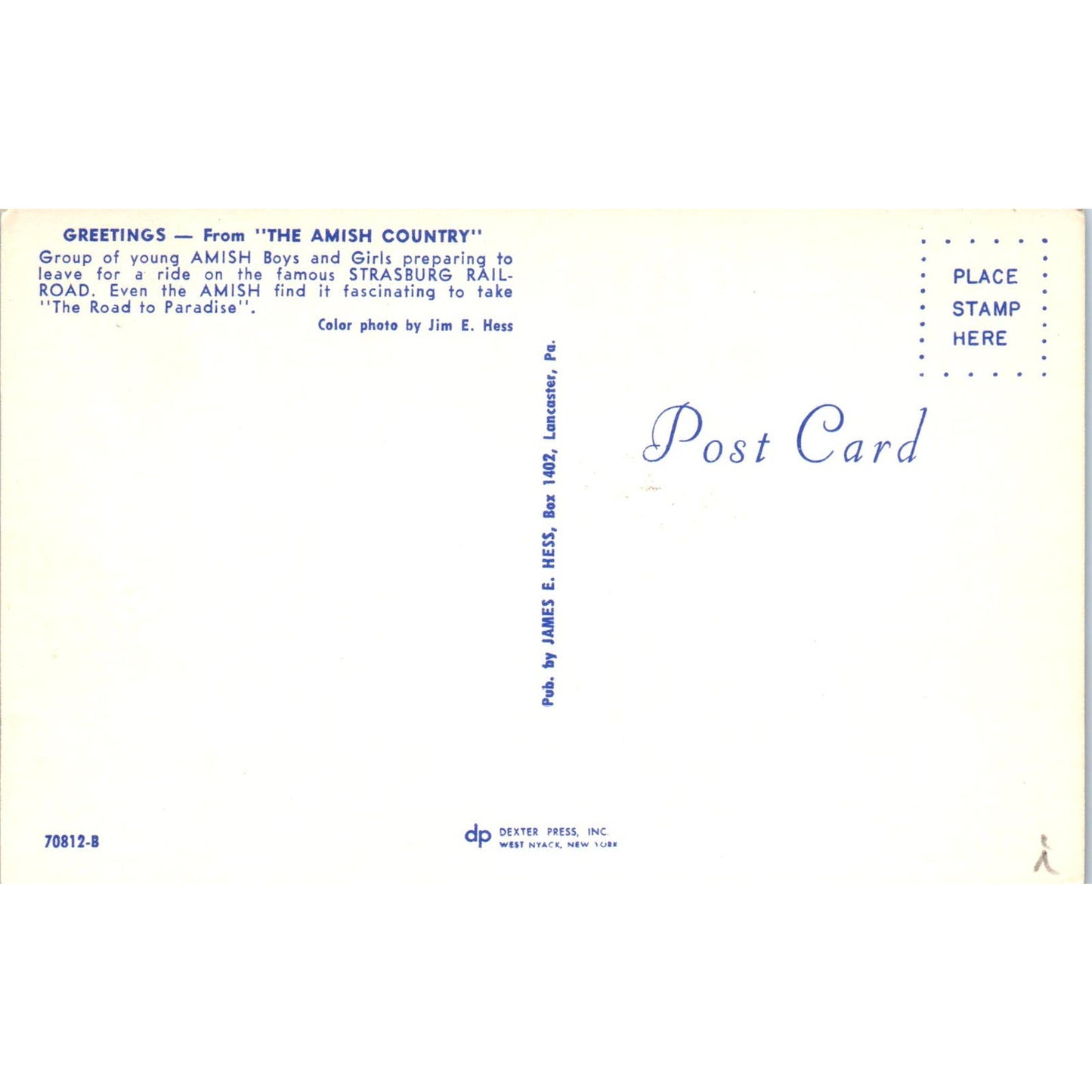 Amish Boys and Girls on Strasburg Railroad PA Dutch Country Vintage Postcard PD1