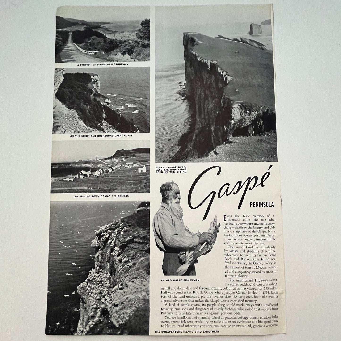 Gaspé Peninsula The Bonaventure Isand Bird Sanctuary 1941 Magazine Picture SV1-4