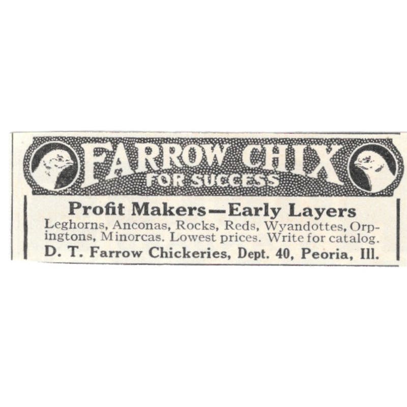 Farrow Chix D.T. Farrow Chickeries Peoria IL 1924 Magazine Ad AF7-SS4