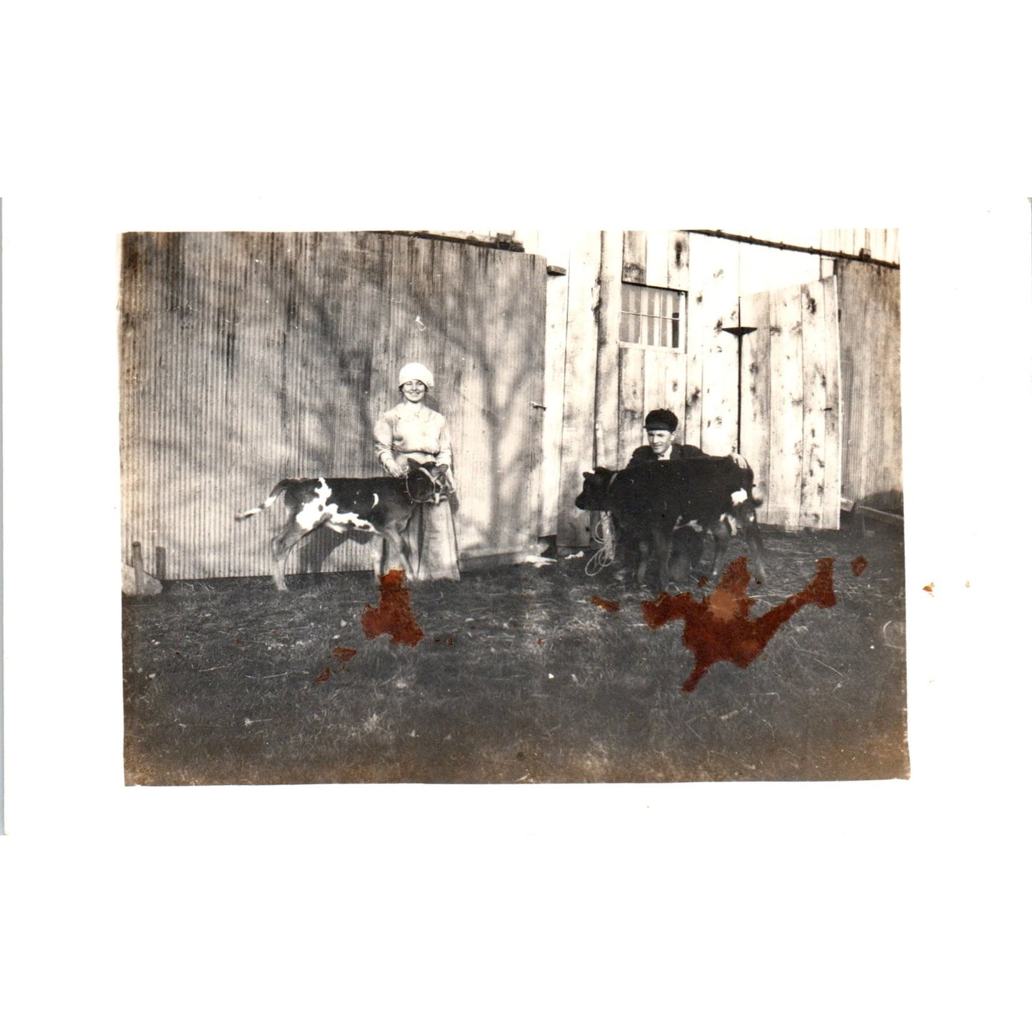 Man and Woman Outside Barn With Cows Antique RPPC Postcard PE7