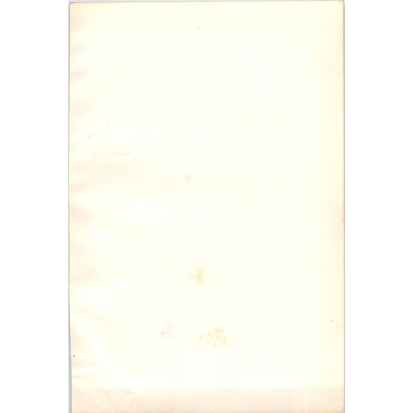 Shore Lark Bird 1903 Original Color Engraving Plate Print AD8-B1