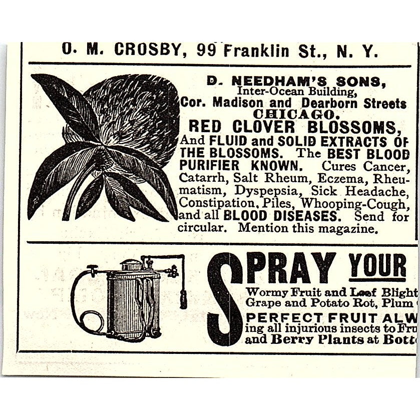 Puget Sound Loan Trust & Banking Company Whatcom WA 1892 Ad AG2-S25