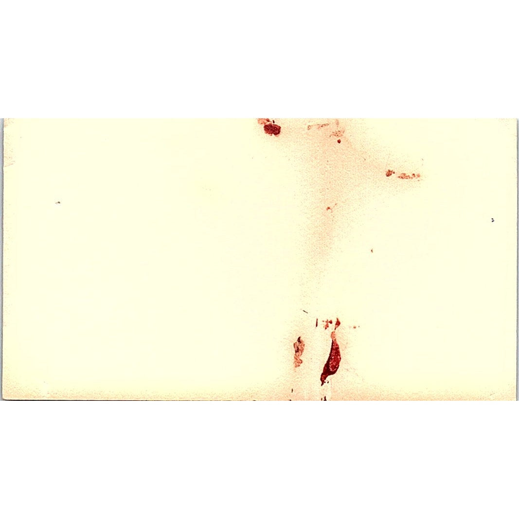 Kirk J. Segura Continental Water Conditioning Co of Houston Business Card SE5-B1