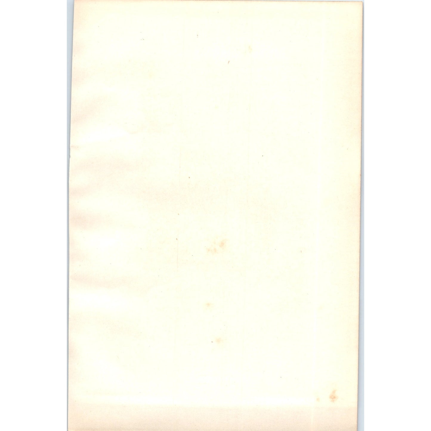 Partridge Bird 1903 Original Color Engraving Plate Print AD8-B8