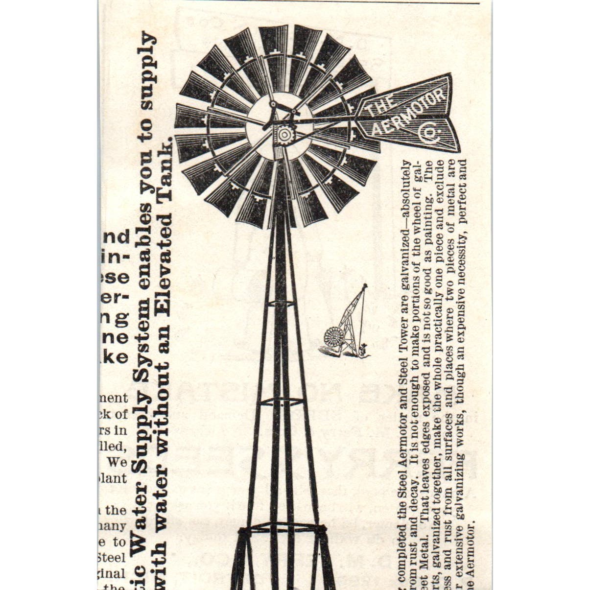 D.M. Ferry & Co Seeds Detroit MI c1890 Victorian Ad AE8-CH6