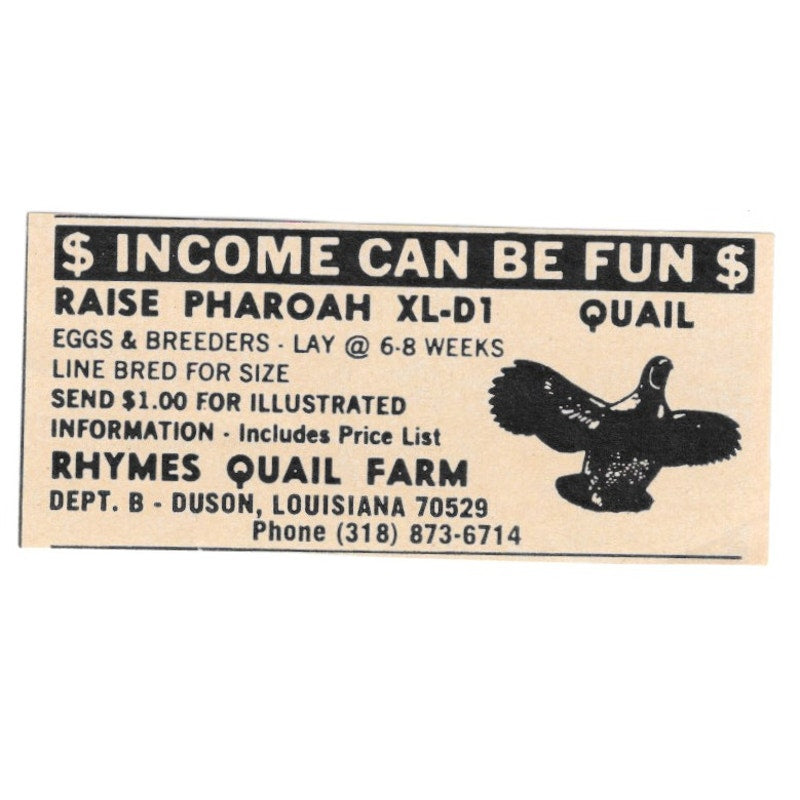 Rhymes Quail Farm Dunson Louisiana 1977 Ad AF6-S4