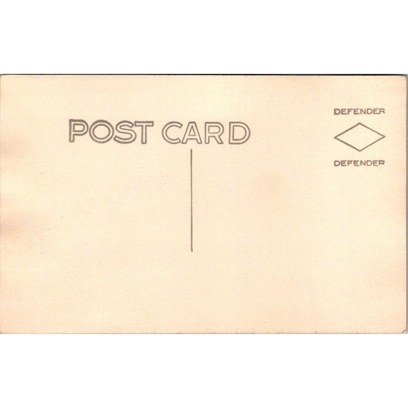 Eagle Point Park Clinton IA Where The West Begins Antique RPPC Postcard AI9-M25