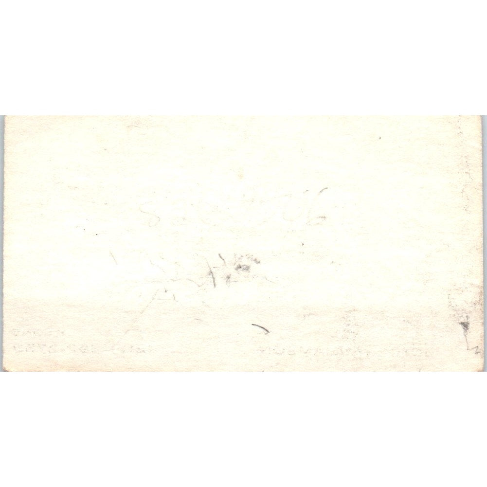 John Williamson Painting Apartment Specialists Los Angeles Business Card SD8-B14