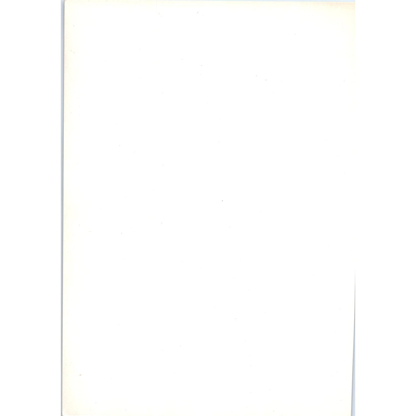 Portrait of Madame Chardin - Chardin c1905 Art Print D16